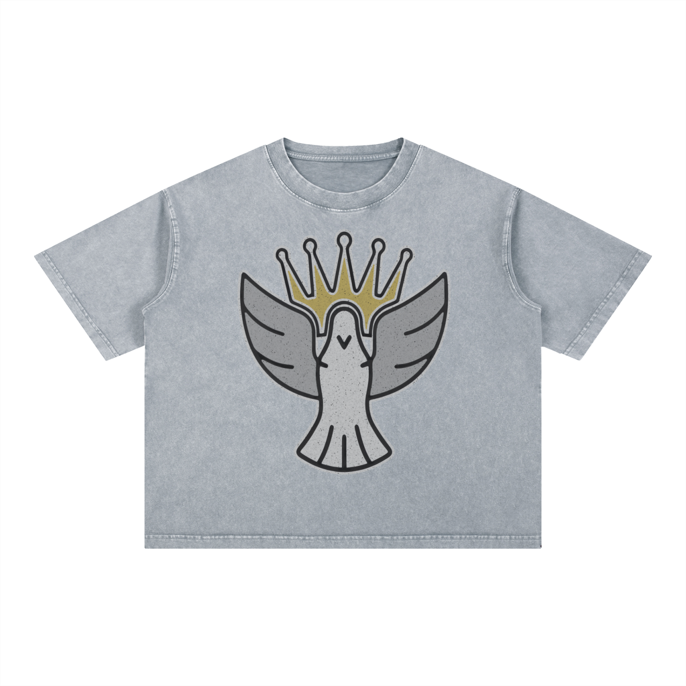 Benevolent Mineral wash Boxy Tee